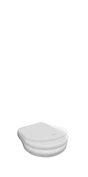 toilet seat