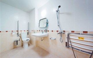 Bathroom for the disabled: rules for creating a safe environment