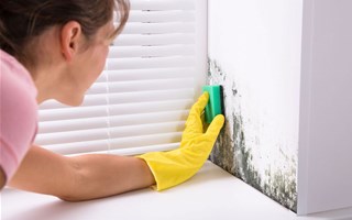 How to remove mould in a shower cubicle?